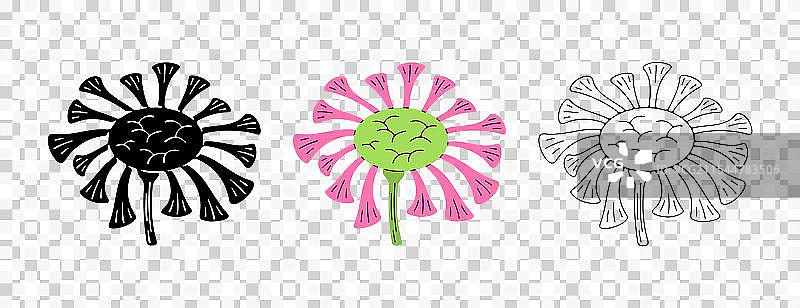 野花盛开与开花图片素材