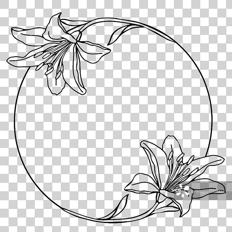 百合花环线条艺术手绘百合花环图片素材