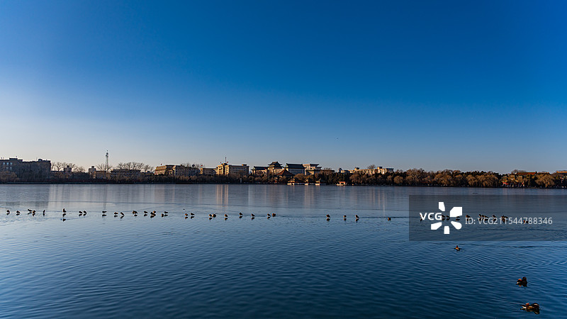 北海公园，一群鸳鸯在冰面和水面交界处休息图片素材