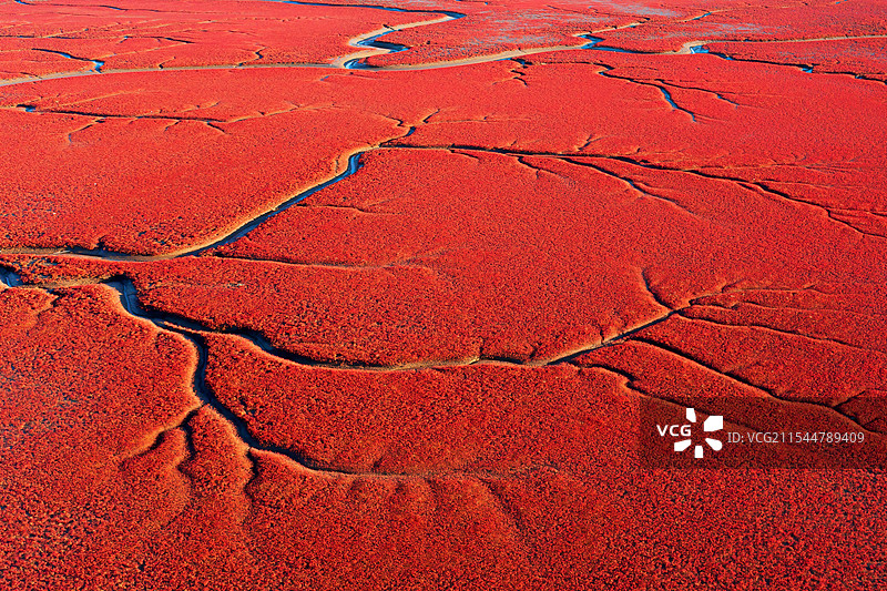 红海滩图片素材