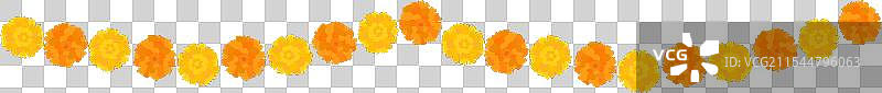 印度的黄色橙色万寿菊花边图片素材