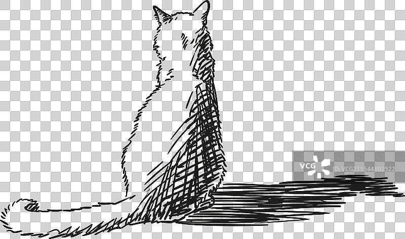 侧面照亮并投射阴影的坐着的猫图片素材