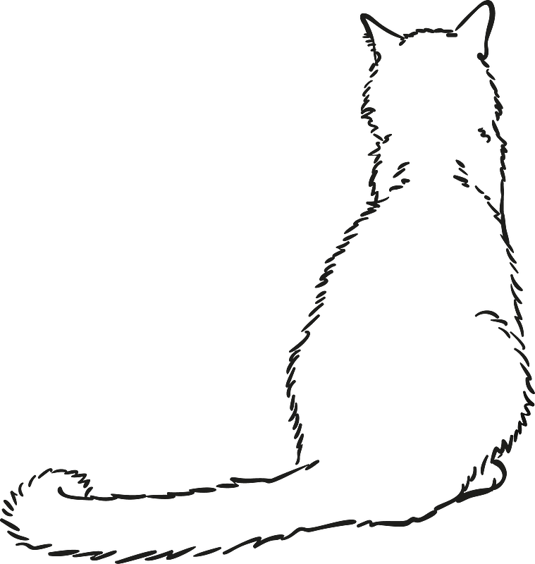 坐着的猫从后面看的自由手绘图图片素材