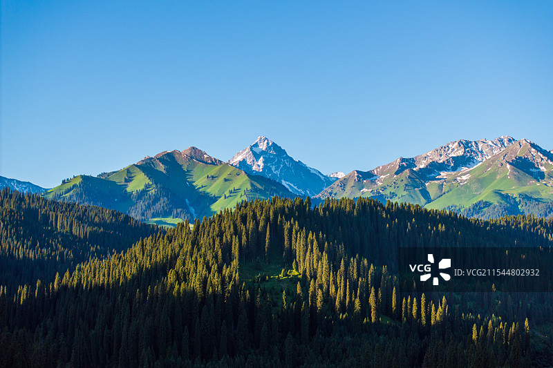 新疆伊犁巩留县，库尔德宁景区风光，天山山脉喀班巴依雪山图片素材