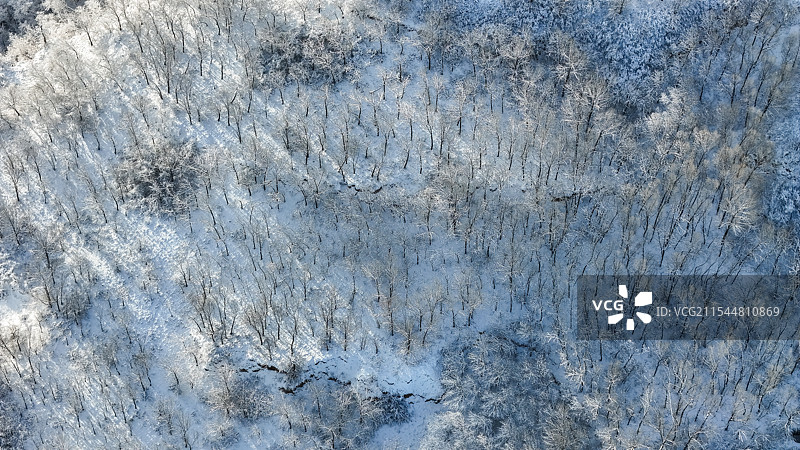 北国风光-雪景图片素材