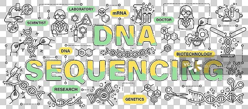 DNA测序生物技术与遗传学图片素材
