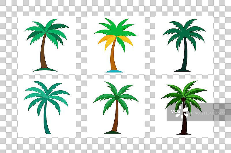 美丽的逼真棕榈树束图片素材