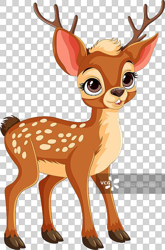一只可爱的小鹿图片素材