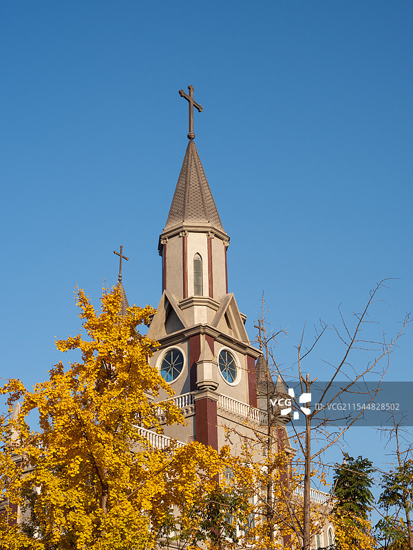 银杏围绕下的教堂图片素材