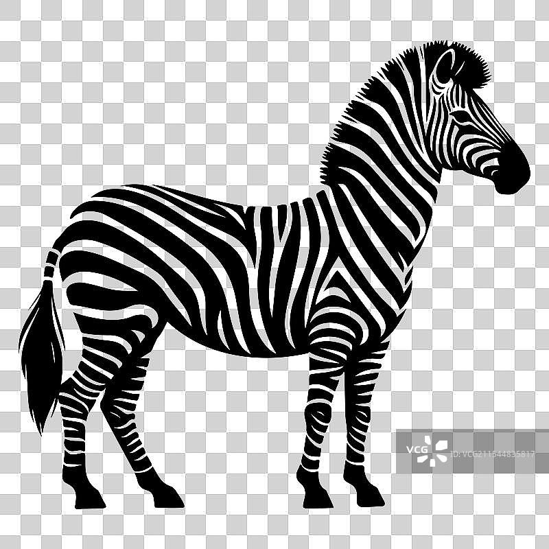 大胆黑色的抽象斑马剪影设计图片素材