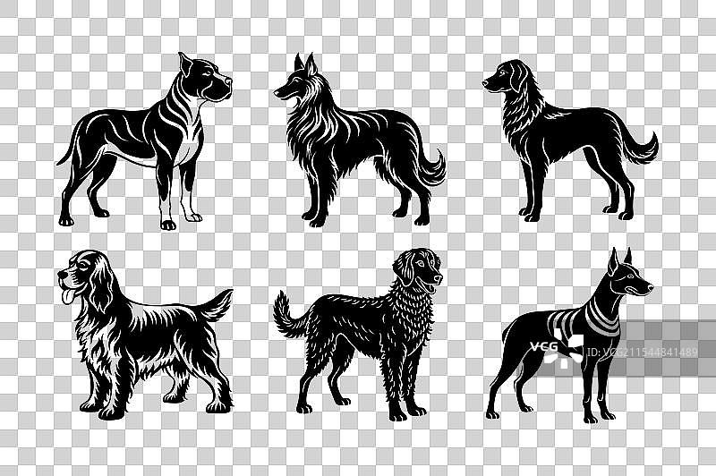 狗品种剪影套装图片素材