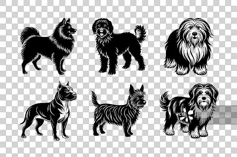 狗品种剪影套装图片素材