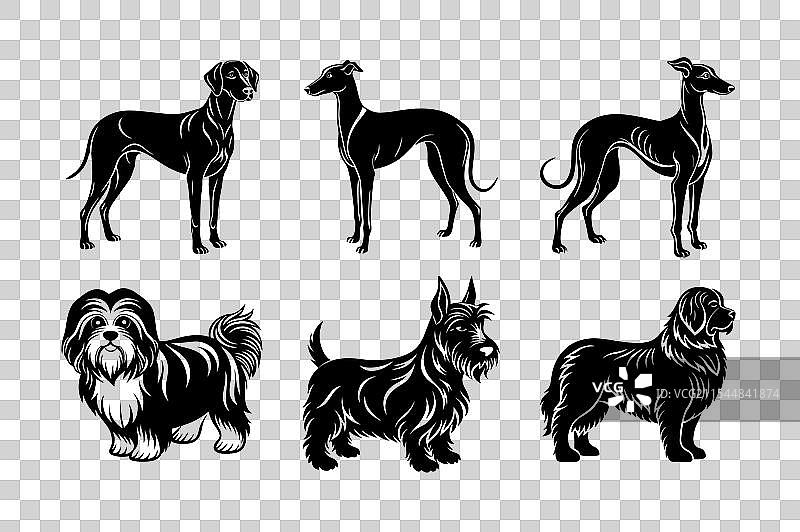 狗品种轮廓集图片素材