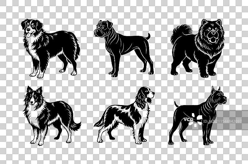 狗品种剪影套装图片素材