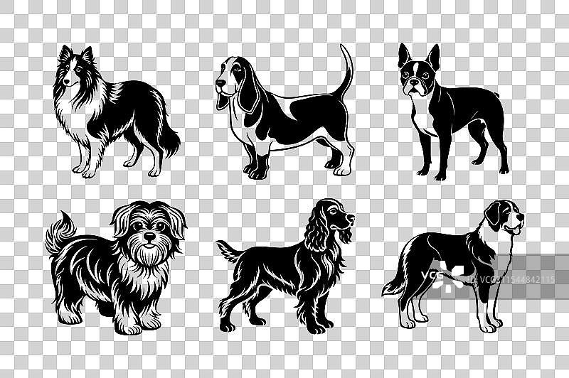 狗品种剪影套装图片素材