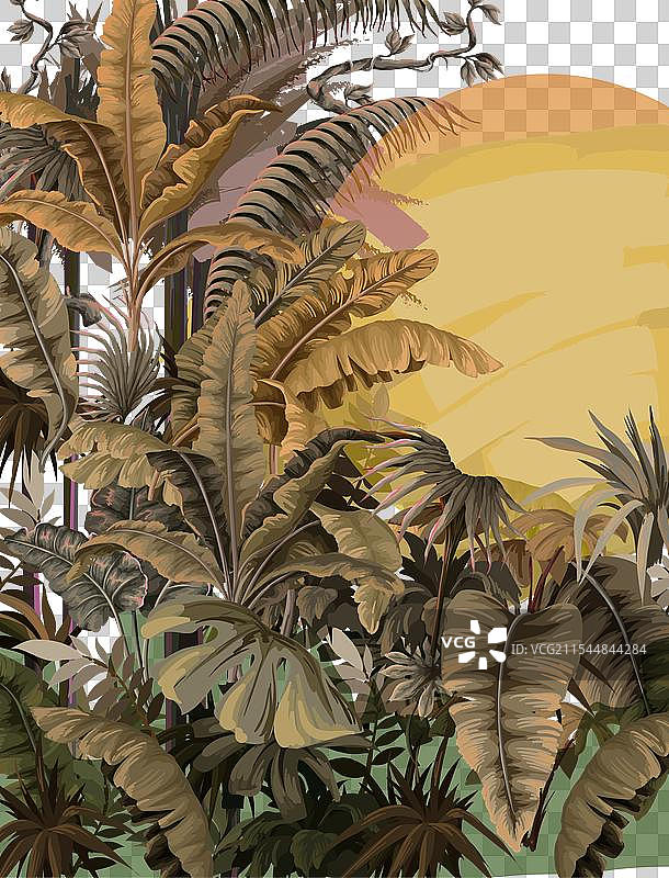 室内丛林壁画，带有香蕉树和棕榈树图片素材