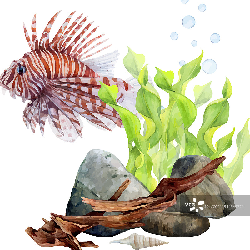 水彩画风格的带状藻类底部图案集合图片素材