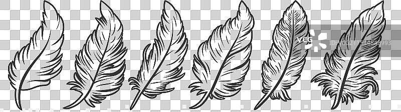 黑白色毛茸茸的羽毛标志图标图片素材