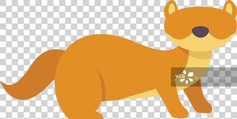 可爱的黄鼠狼四脚站立图片素材