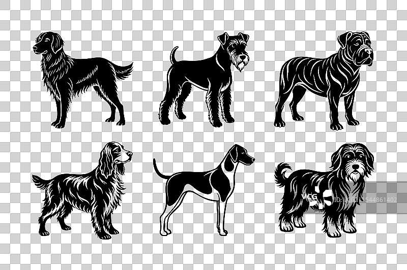 六种犬种的剪影图标集图片素材