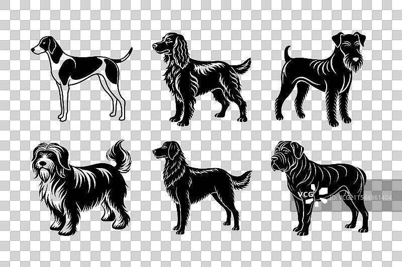 六种犬种的剪影图标集图片素材