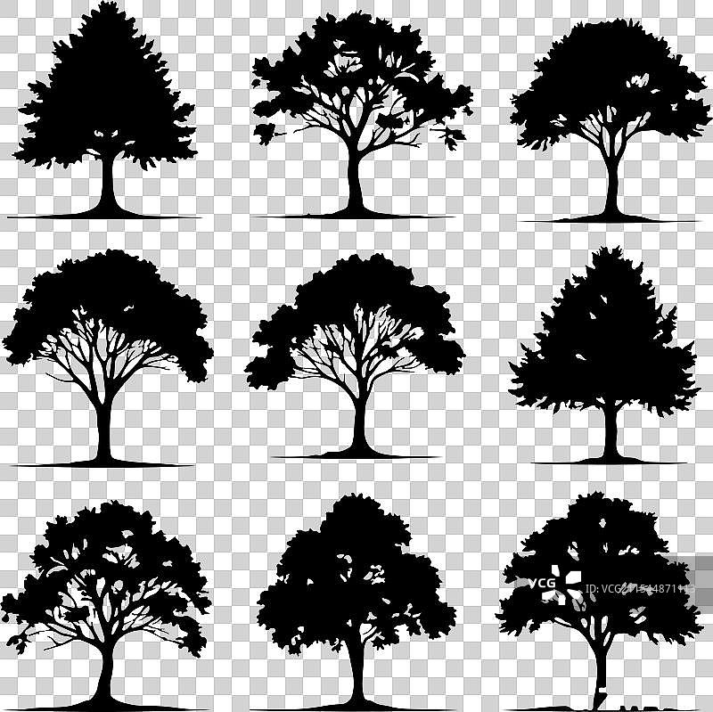 各种树木和植物的剪影图片素材