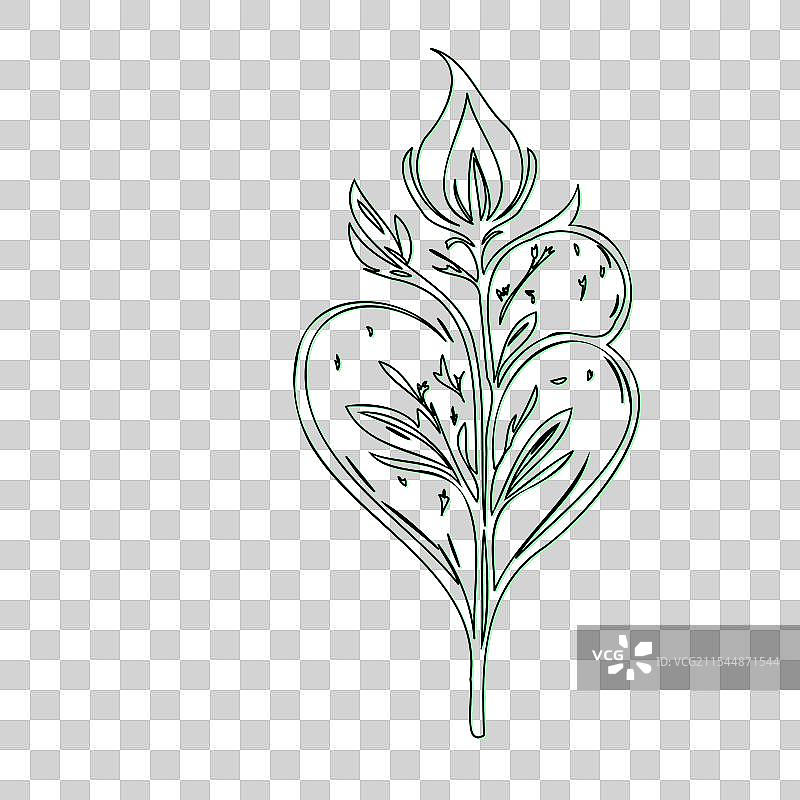 流血心花植物素描轮廓阴影图片素材