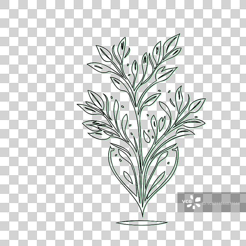 流血心花植物素描轮廓阴影图片素材