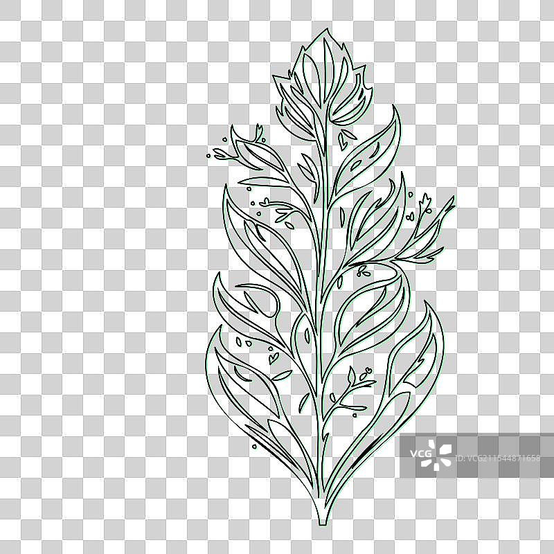 流血心花植物素描轮廓阴影图片素材