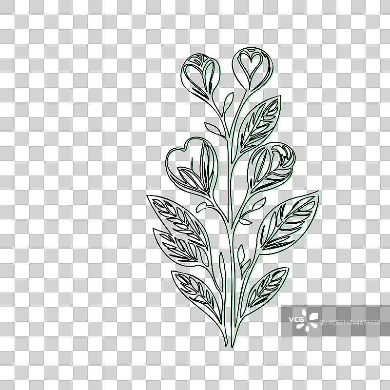流血心花植物素描轮廓阴影图片素材