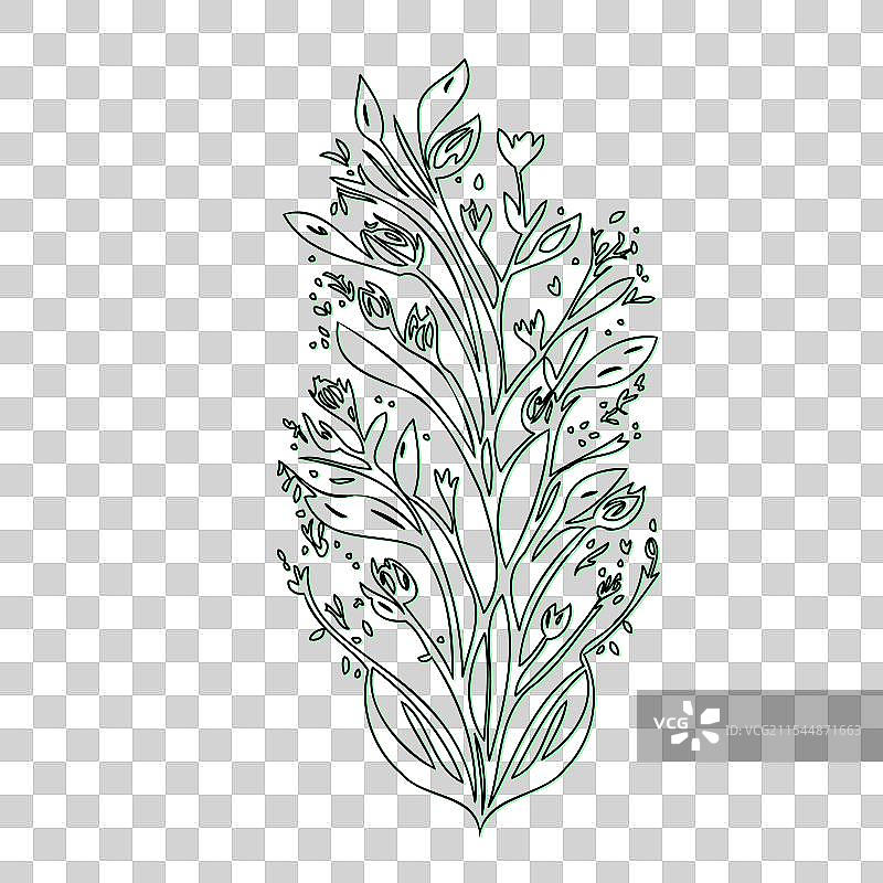 流血心花植物素描轮廓阴影图片素材