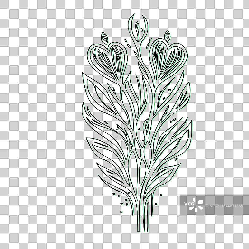 流血心花植物素描轮廓阴影图片素材