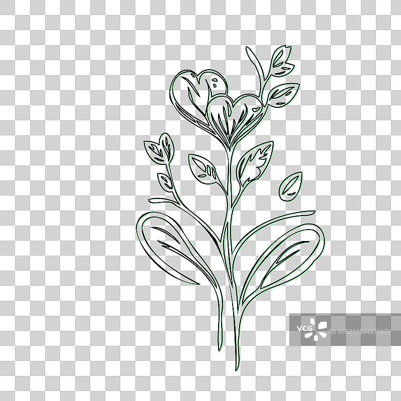 流血心花植物素描轮廓阴影图片素材