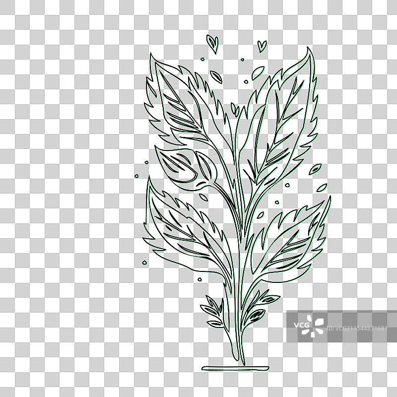 流血心花植物素描轮廓阴影图片素材