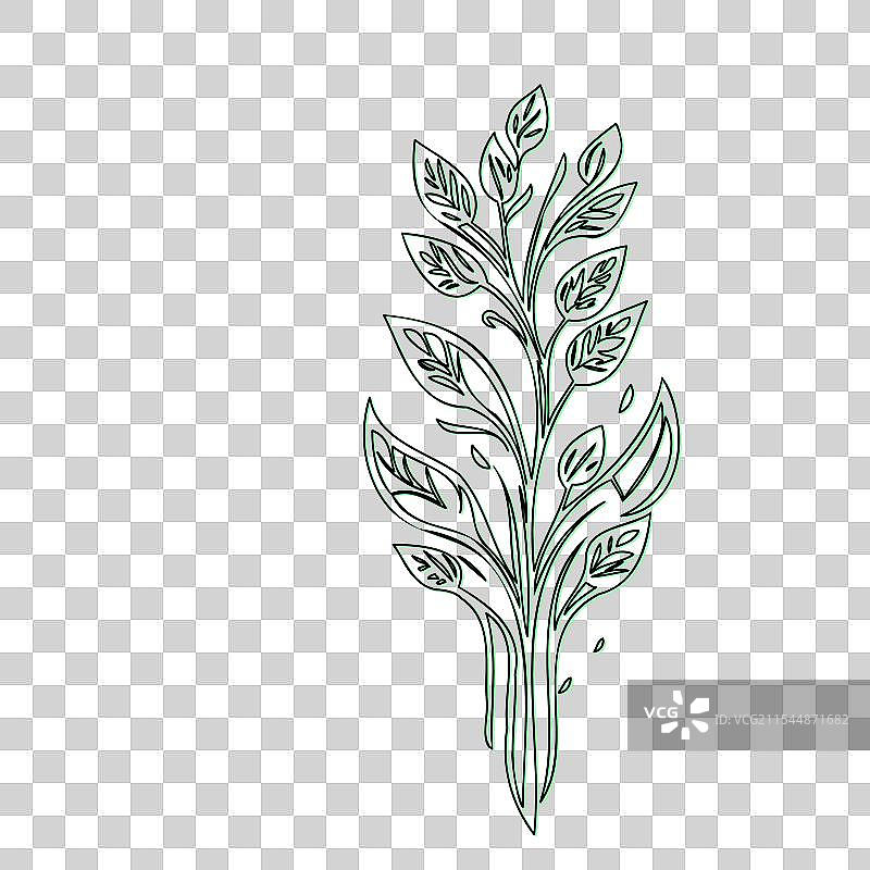 流血心花植物素描轮廓阴影图片素材