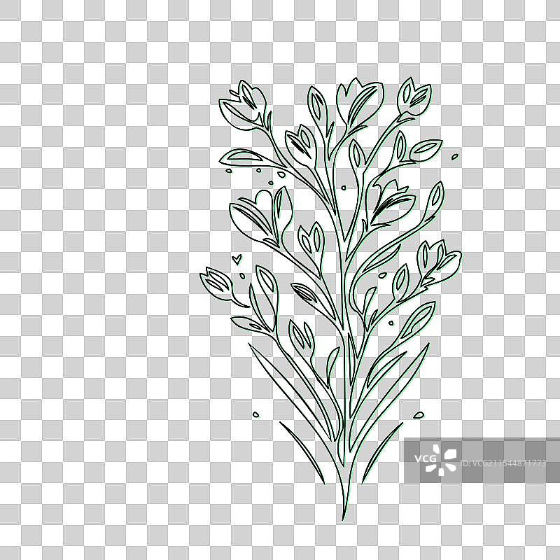 流血心花植物素描轮廓阴影图片素材