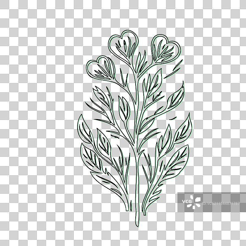 流血心花植物素描轮廓阴影图片素材