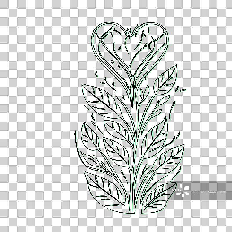 流血心花植物素描轮廓阴影图片素材