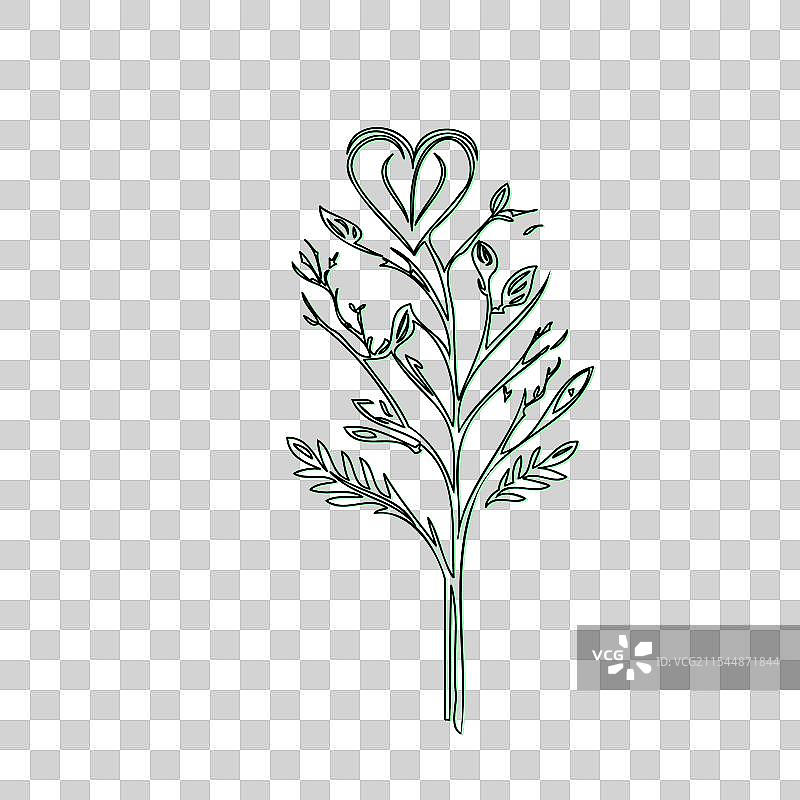 流血心花植物素描轮廓阴影图片素材