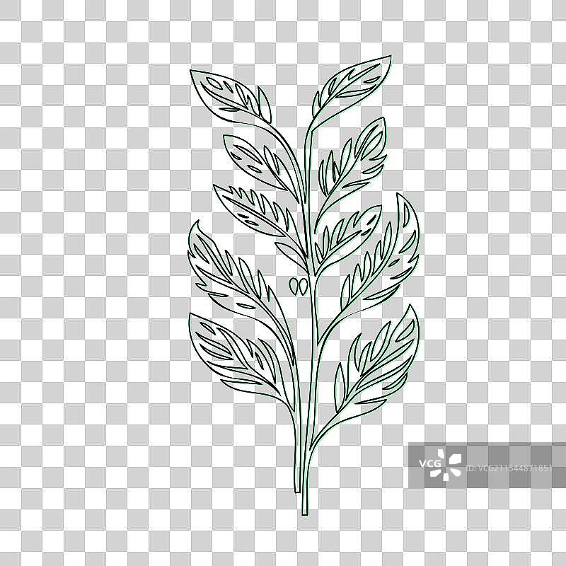 流血心花植物素描轮廓阴影图片素材