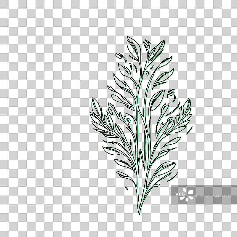 流血心花植物素描轮廓阴影图片素材