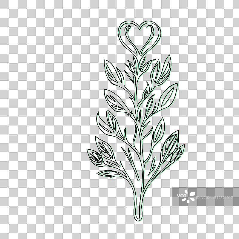 流血心花植物素描轮廓阴影图片素材