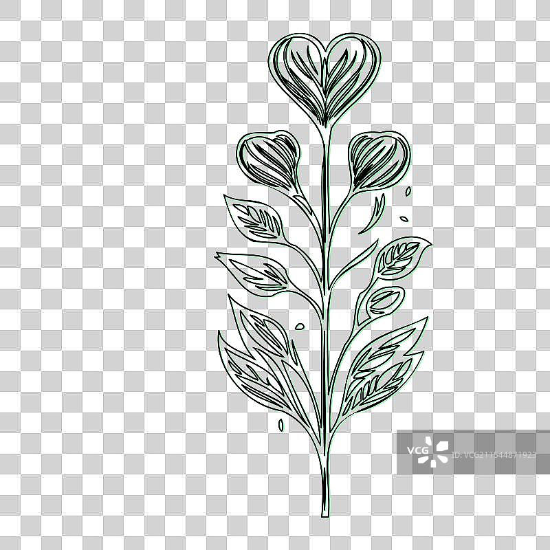 流血心花植物素描轮廓阴影图片素材