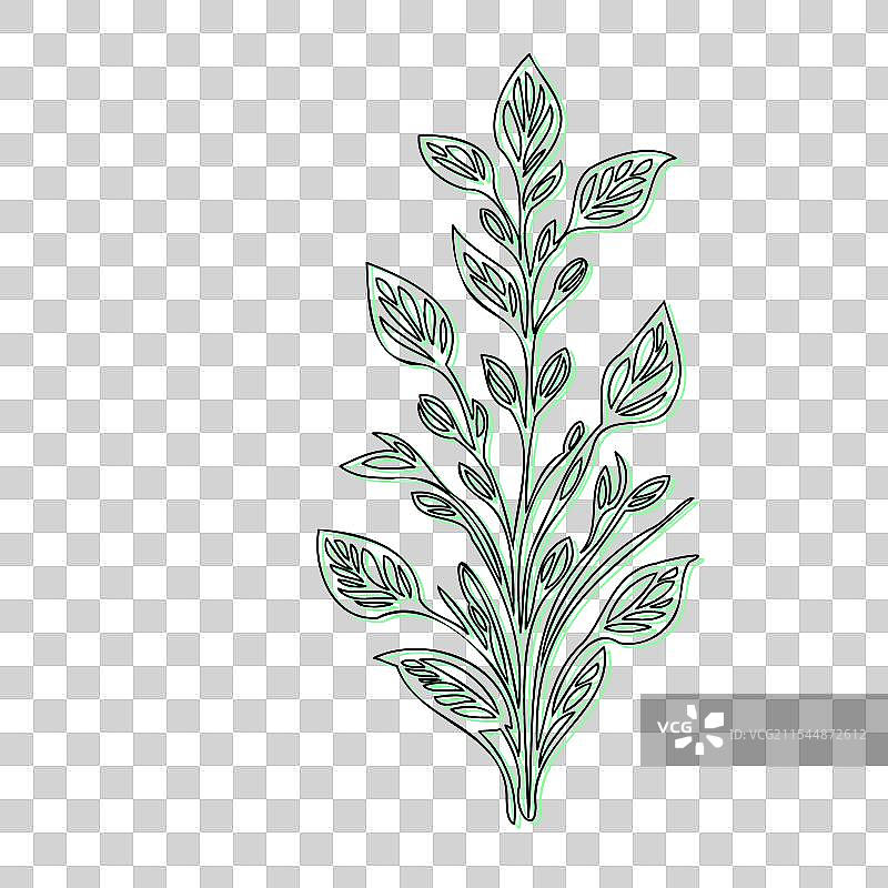 蓝盆花植物素描轮廓阴影图片素材