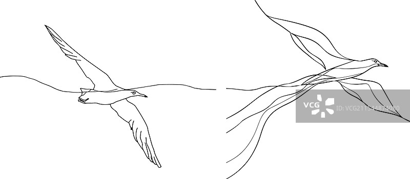 天空中的海鸥连续线条画图片素材