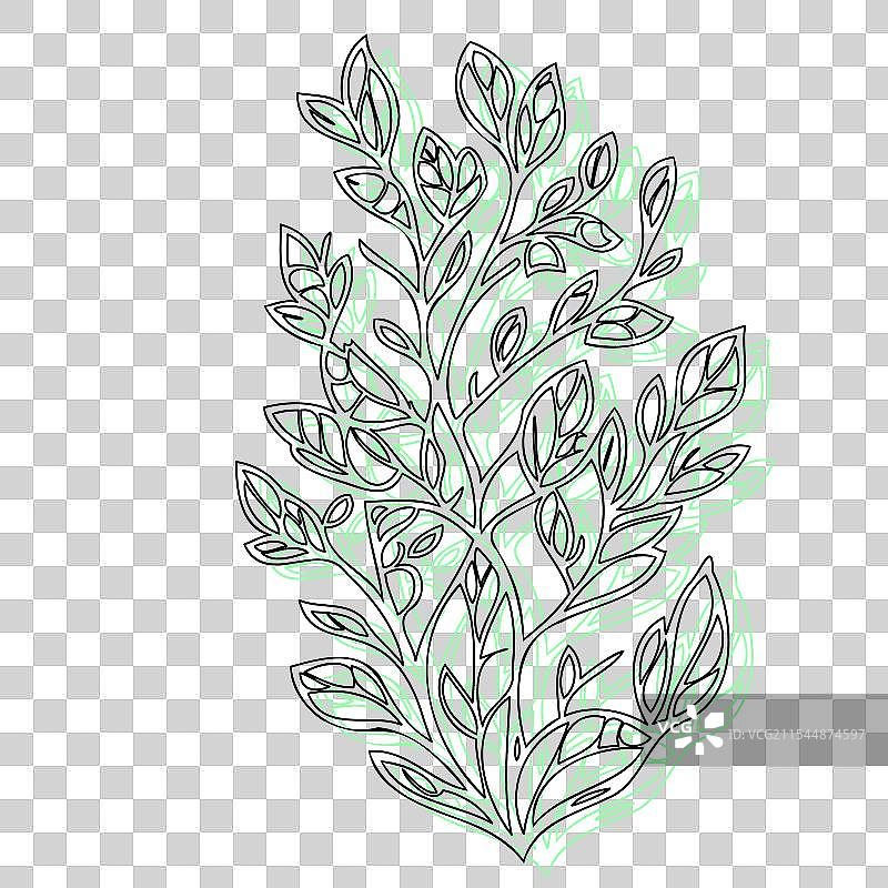 紫藤花植物素描轮廓阴影绿色图片素材