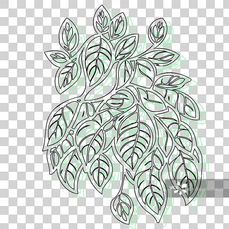 紫藤花植物素描轮廓阴影绿色图片素材