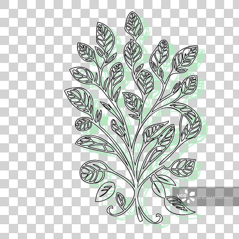 紫藤花植物素描轮廓阴影绿色图片素材