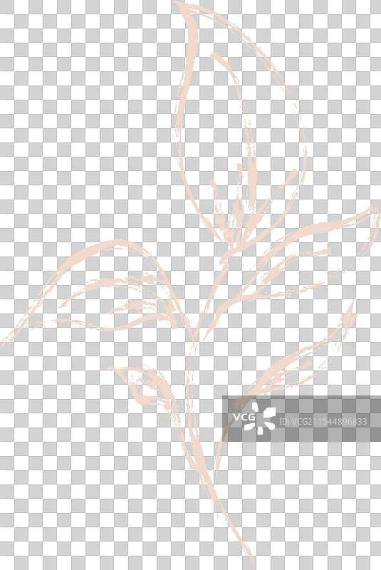 手绘孤立的树枝和叶子素描图片素材