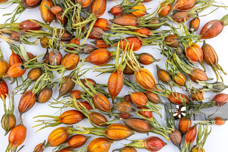 天然色素香料-晒干的黄栀子图片素材